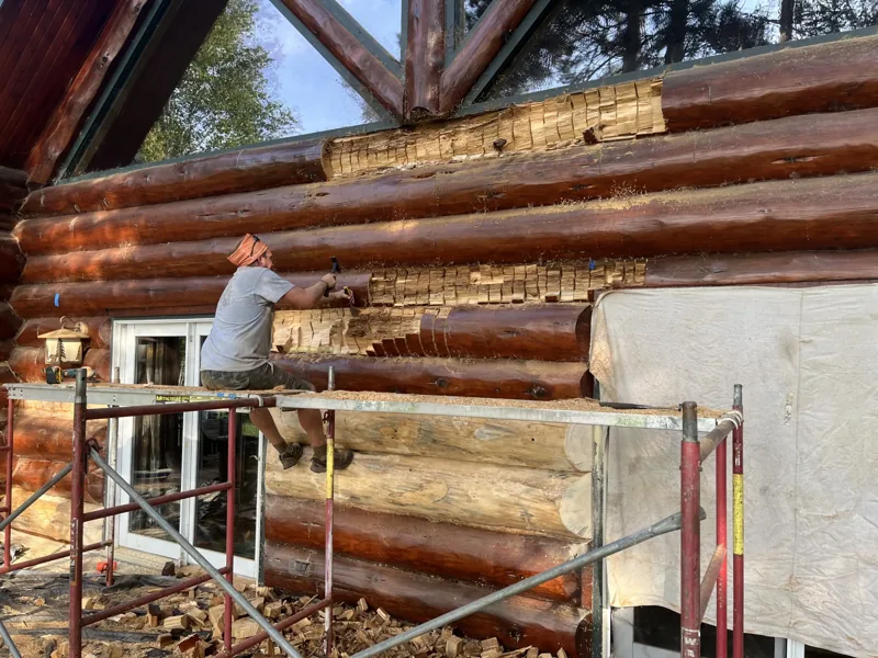 Log wall repair around windows with scaffolding in place